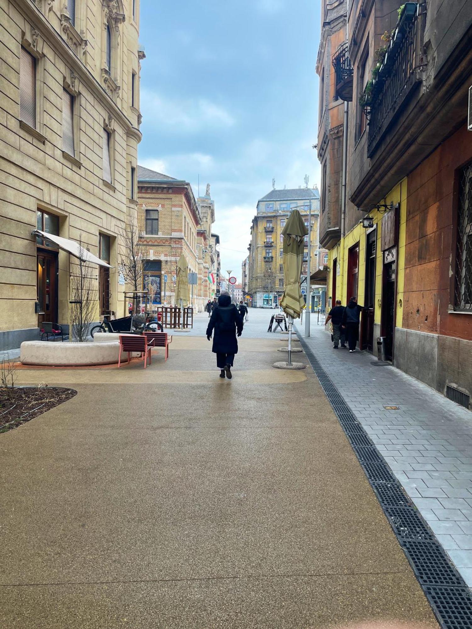 Elegant And Modern In The City Centre Budapest Bagian luar foto